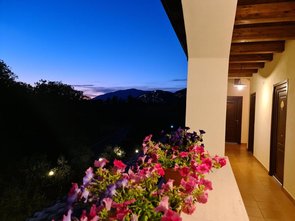 Agriturismo L'Ulivo Padula Luaran gambar