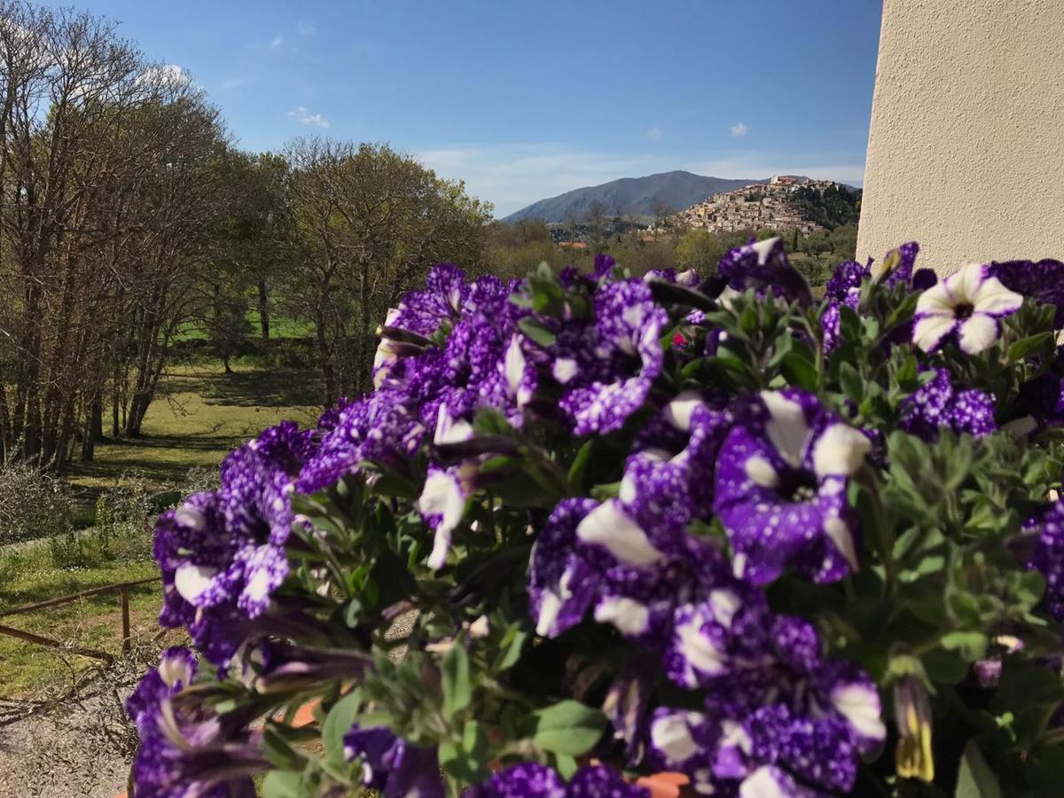 Agriturismo L'Ulivo Padula Luaran gambar