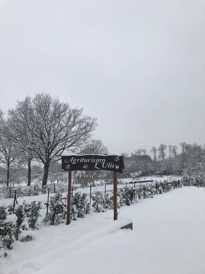 Agriturismo L'Ulivo Padula Luaran gambar