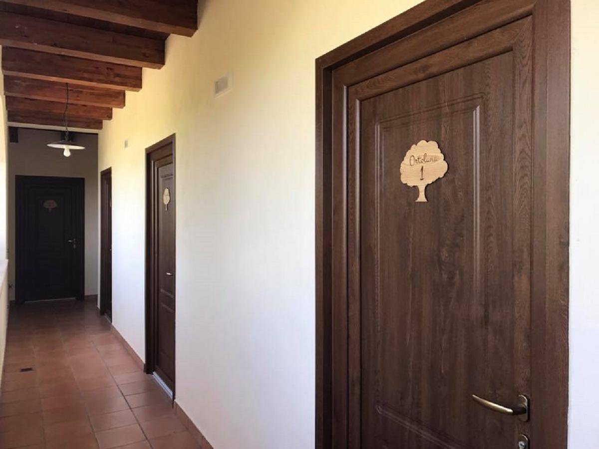 Agriturismo L'Ulivo Padula Luaran gambar